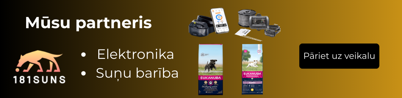 Mūsu partneris — 181SUNS
